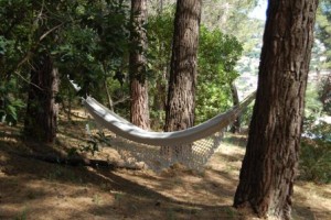 The hammock